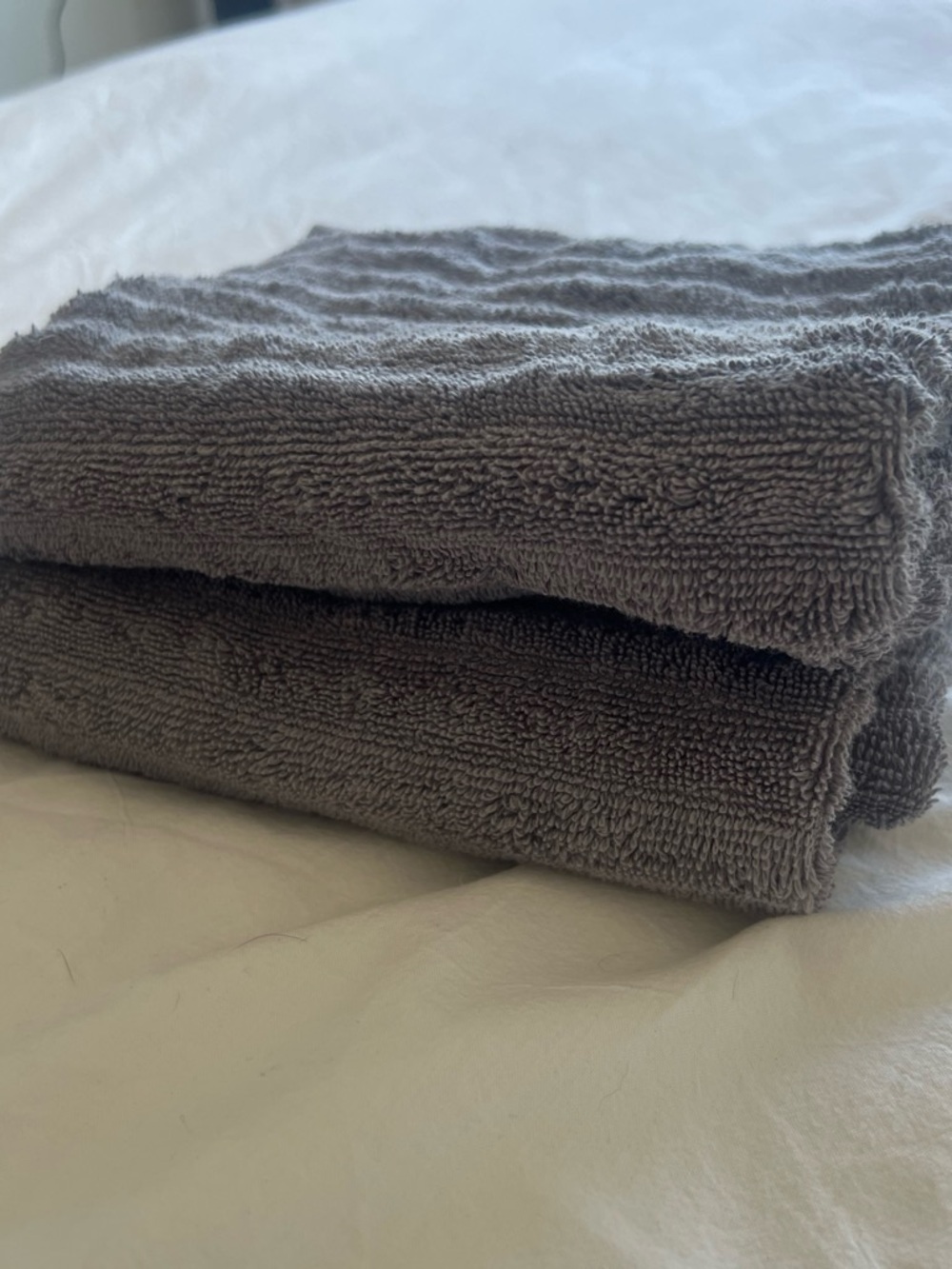 Set of 2 Threshold Gray Plush Cotton Hand Towels